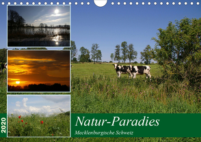 Natur-Paradies Mecklenburgische Schweiz (Wandkalender 2020 DIN A4 quer) von Katharina Tessnow,  Antonia