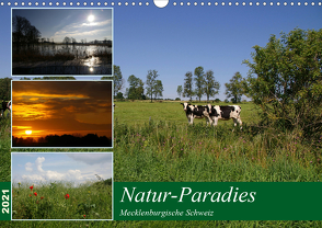 Natur-Paradies Mecklenburgische Schweiz (Wandkalender 2021 DIN A3 quer) von Katharina Tessnow,  Antonia