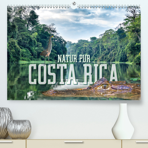 Natur pur, Costa Rica (Premium, hochwertiger DIN A2 Wandkalender 2021, Kunstdruck in Hochglanz) von Gödecke,  Dieter