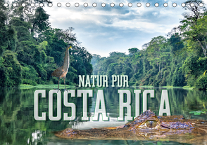 Natur pur, Costa Rica (Tischkalender 2021 DIN A5 quer) von Gödecke,  Dieter