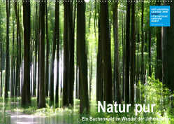 Natur pur – ein Buchenwald im Wandel der Jahreszeiten (Wandkalender 2023 DIN A2 quer) von Eppele,  Klaus