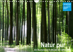 Natur pur – ein Buchenwald im Wandel der Jahreszeiten (Wandkalender 2023 DIN A4 quer) von Eppele,  Klaus