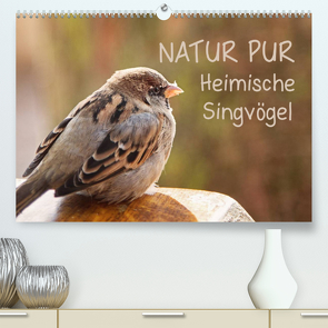 NATUR PUR Heimische Singvögel (Premium, hochwertiger DIN A2 Wandkalender 2023, Kunstdruck in Hochglanz) von Dietzel,  Karin