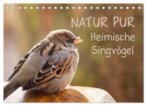 NATUR PUR Heimische Singvögel (Tischkalender 2024 DIN A5 quer), CALVENDO Monatskalender von Dietzel,  Karin