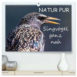 NATUR PUR – Singvögel ganz nah (hochwertiger Premium Wandkalender 2024 DIN A2 quer), Kunstdruck in Hochglanz von Dietzel,  Karin