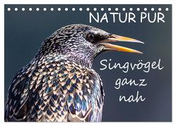 NATUR PUR – Singvögel ganz nah (Tischkalender 2024 DIN A5 quer), CALVENDO Monatskalender von Dietzel,  Karin