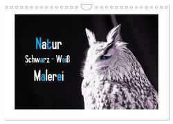 Natur schwarz – weiß Malerei (Wandkalender 2024 DIN A4 quer), CALVENDO Monatskalender von Riedel,  Tanja