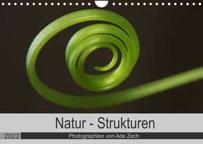 Natur – Strukturen (Wandkalender 2022 DIN A4 quer) von Zech,  Ade