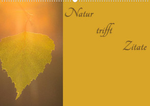Natur trifft Zitate (Wandkalender 2022 DIN A2 quer) von Kulla,  Alexander