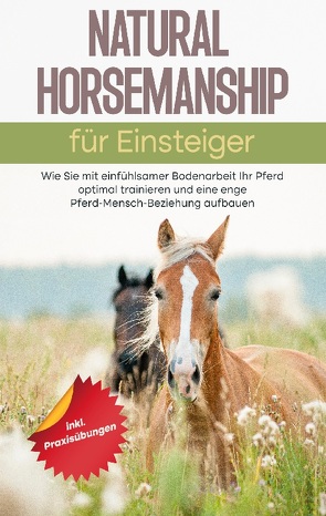 Natural Horsemanship für Einsteiger von Perlau,  Moritz