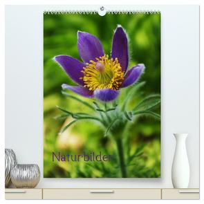 Naturbilder (hochwertiger Premium Wandkalender 2024 DIN A2 hoch), Kunstdruck in Hochglanz von Tanja Riedel,  by