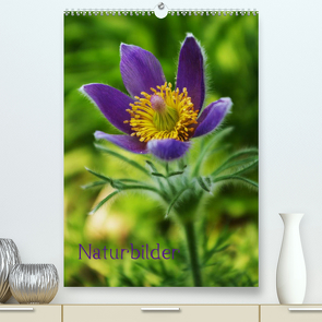 Naturbilder (Premium, hochwertiger DIN A2 Wandkalender 2022, Kunstdruck in Hochglanz) von Tanja Riedel,  by