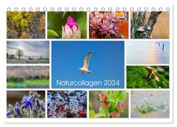 Naturcollagen 2024 (Tischkalender 2024 DIN A5 quer), CALVENDO Monatskalender von Nöh,  Christine