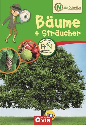 Bäume & Sträucher von Bundesamt für Naturschutz, Kuhn,  Birgit