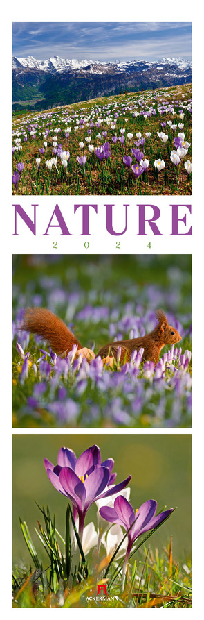 Nature Triplet-Kalender 2024