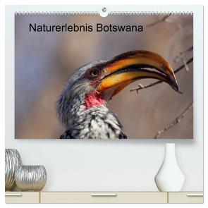 Naturerlebnis Botswana (hochwertiger Premium Wandkalender 2024 DIN A2 quer), Kunstdruck in Hochglanz von Willy Bruechle,  Dr.