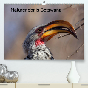 Naturerlebnis Botswana (Premium, hochwertiger DIN A2 Wandkalender 2020, Kunstdruck in Hochglanz) von Willy Bruechle,  Dr.