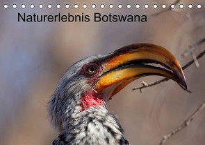 Naturerlebnis Botswana (Tischkalender 2023 DIN A5 quer) von Willy Bruechle,  Dr.