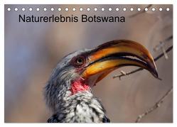 Naturerlebnis Botswana (Tischkalender 2024 DIN A5 quer), CALVENDO Monatskalender von Willy Bruechle,  Dr.