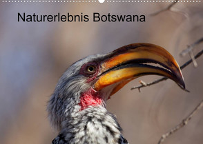 Naturerlebnis Botswana (Wandkalender 2023 DIN A2 quer) von Willy Bruechle,  Dr.