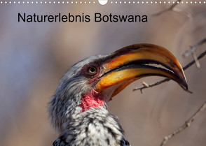 Naturerlebnis Botswana (Wandkalender 2023 DIN A3 quer) von Willy Bruechle,  Dr.