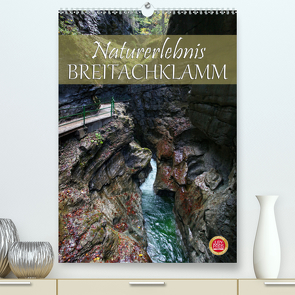 Naturerlebnis Breitachklamm (Premium, hochwertiger DIN A2 Wandkalender 2020, Kunstdruck in Hochglanz) von Cross,  Martina