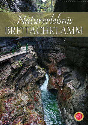 Naturerlebnis Breitachklamm (Wandkalender 2020 DIN A2 hoch) von Cross,  Martina