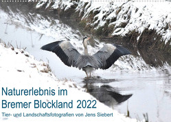 Naturerlebnis im Bremer Blockland (Wandkalender 2022 DIN A2 quer) von Siebert,  Jens