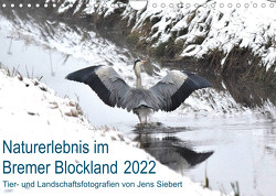 Naturerlebnis im Bremer Blockland (Wandkalender 2022 DIN A4 quer) von Siebert,  Jens