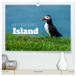 Naturerlebnis Island (hochwertiger Premium Wandkalender 2024 DIN A2 quer), Kunstdruck in Hochglanz von Holtgräwe,  Thomas