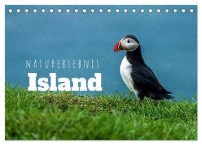 Naturerlebnis Island (Tischkalender 2024 DIN A5 quer), CALVENDO Monatskalender von Holtgräwe,  Thomas