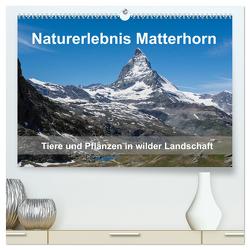 Naturerlebnis Matterhorn (hochwertiger Premium Wandkalender 2024 DIN A2 quer), Kunstdruck in Hochglanz von Pelzer (Pelzer-Photography),  Claudia