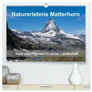 Naturerlebnis Matterhorn (hochwertiger Premium Wandkalender 2024 DIN A2 quer), Kunstdruck in Hochglanz von Pelzer (Pelzer-Photography),  Claudia