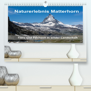 Naturerlebnis Matterhorn (Premium, hochwertiger DIN A2 Wandkalender 2022, Kunstdruck in Hochglanz) von Pelzer (Pelzer-Photography),  Claudia