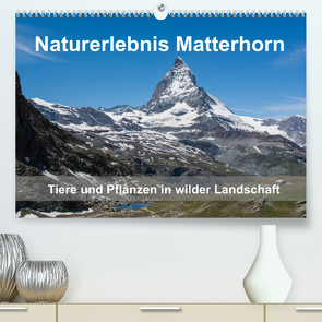 Naturerlebnis Matterhorn (Premium, hochwertiger DIN A2 Wandkalender 2023, Kunstdruck in Hochglanz) von Pelzer (Pelzer-Photography),  Claudia