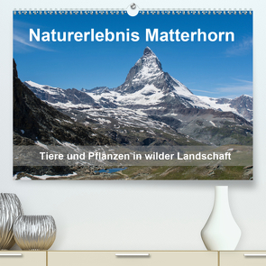 Naturerlebnis Matterhorn (Premium, hochwertiger DIN A2 Wandkalender 2020, Kunstdruck in Hochglanz) von Pelzer (Pelzer-Photography),  Claudia