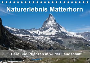 Naturerlebnis Matterhorn (Tischkalender 2020 DIN A5 quer) von Pelzer (Pelzer-Photography),  Claudia