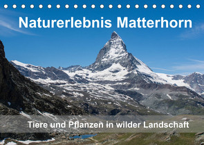 Naturerlebnis Matterhorn (Tischkalender 2022 DIN A5 quer) von Pelzer (Pelzer-Photography),  Claudia