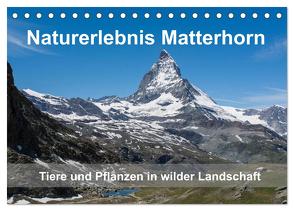 Naturerlebnis Matterhorn (Tischkalender 2024 DIN A5 quer), CALVENDO Monatskalender von Pelzer (Pelzer-Photography),  Claudia
