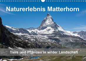 Naturerlebnis Matterhorn (Wandkalender 2020 DIN A3 quer) von Pelzer (Pelzer-Photography),  Claudia