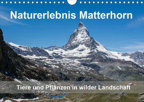 Naturerlebnis Matterhorn (Wandkalender 2020 DIN A4 quer) von Pelzer (Pelzer-Photography),  Claudia