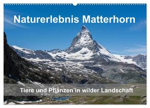 Naturerlebnis Matterhorn (Wandkalender 2024 DIN A2 quer), CALVENDO Monatskalender von Pelzer (Pelzer-Photography),  Claudia