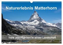 Naturerlebnis Matterhorn (Wandkalender 2024 DIN A3 quer), CALVENDO Monatskalender von Pelzer (Pelzer-Photography),  Claudia