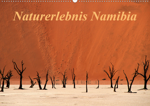 Naturerlebnis Namibia (Wandkalender 2020 DIN A2 quer) von Hawerkamp,  Hans-Wolfgang