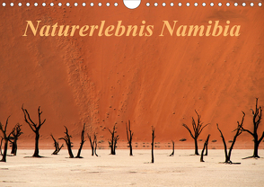 Naturerlebnis Namibia (Wandkalender 2020 DIN A4 quer) von Hawerkamp,  Hans-Wolfgang