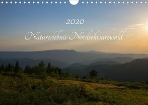 Naturerlebnis Nordschwarzwald (Wandkalender 2020 DIN A4 quer) von Wurster,  Anne