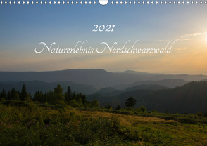 Naturerlebnis Nordschwarzwald (Wandkalender 2021 DIN A3 quer) von Wurster,  Anne