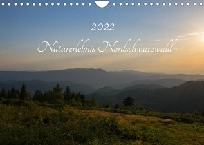 Naturerlebnis Nordschwarzwald (Wandkalender 2022 DIN A4 quer) von Wurster,  Anne