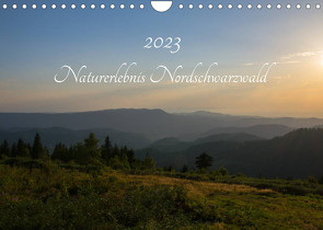 Naturerlebnis Nordschwarzwald (Wandkalender 2023 DIN A4 quer) von Wurster,  Anne