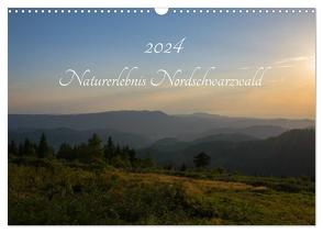 Naturerlebnis Nordschwarzwald (Wandkalender 2024 DIN A3 quer), CALVENDO Monatskalender von Wurster,  Anne